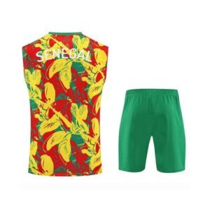 Alternative view of Ensemble Debardeur Sénégal 2025/2026