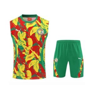 Ensemble Debardeur Sénégal 2025/2026