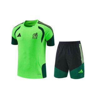 Alternative view of Ensemble Training Mexique 2026/2027