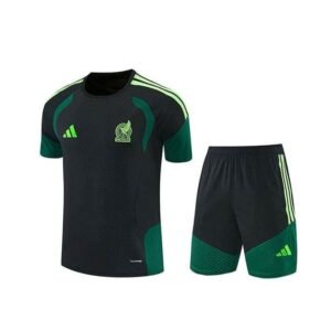 Alternative view of Ensemble Training Mexique 2026/27