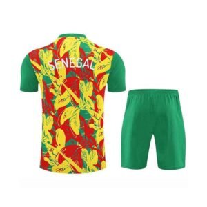 Alternative view of Ensemble Training Senegal 2025/2026