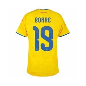 Alternative view of Maillot Colombie Domicile 2026/2027 (Borre 19)