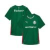 Maillot Palmeiras Domicile 2026/2027