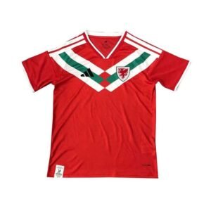 Alternative view of Maillot Pays de Galles 2026/2027