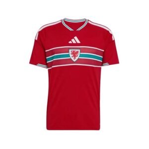 Alternative view of Maillot Pays de Galles Domicile 2026/2027