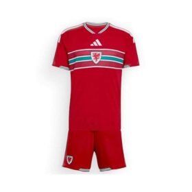 Maillot Pays de Galles Domicile Enfant 2026/2027