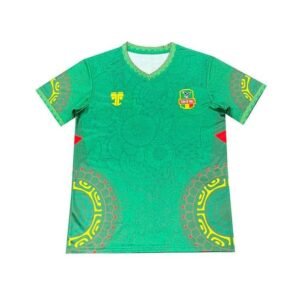 Alternative view of Maillot Training Mali 2025/26 Vert