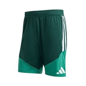 Short Training Algeria 2026/2027 Vert