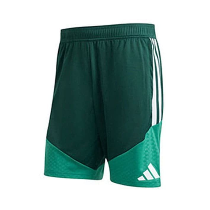 Short Training Algeria 2026/2027 Vert