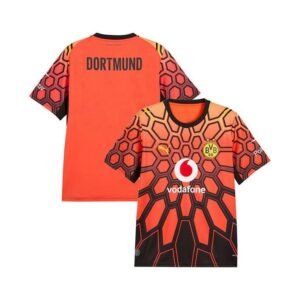 Maillot Dortmund Gardien 2026/27 Orange Noir
