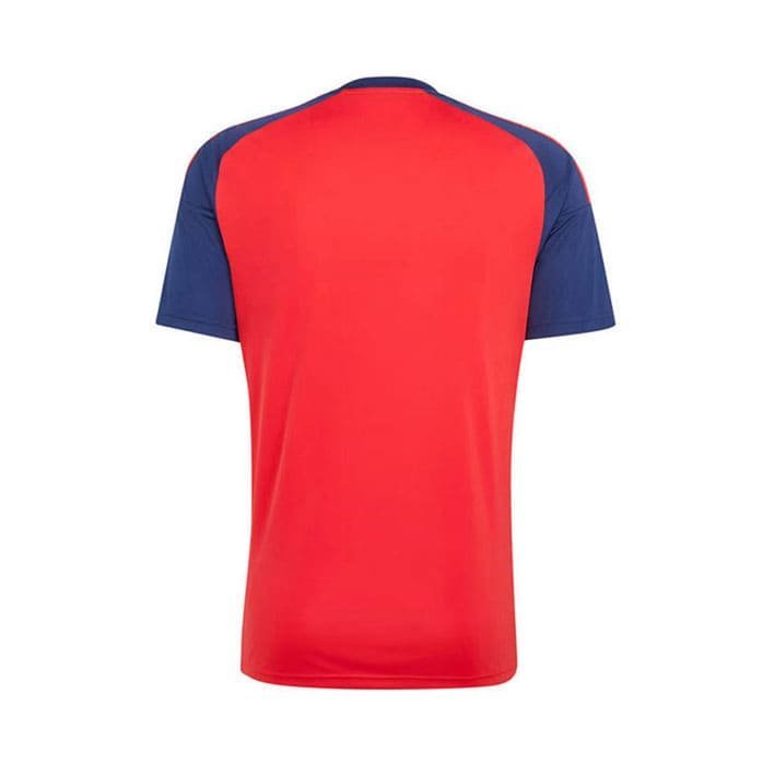 Maillot Espagne Domicile 2026/2027 2 Étoiles Homme – Image 3